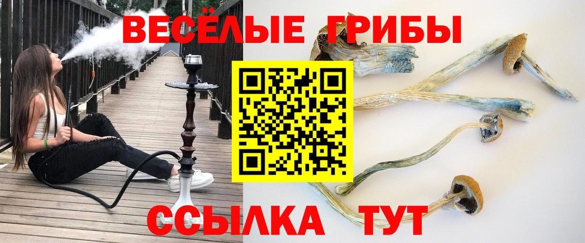 МЕФ Нягань